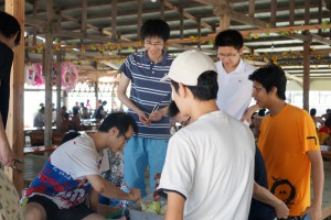 DSC02513 (800x532)